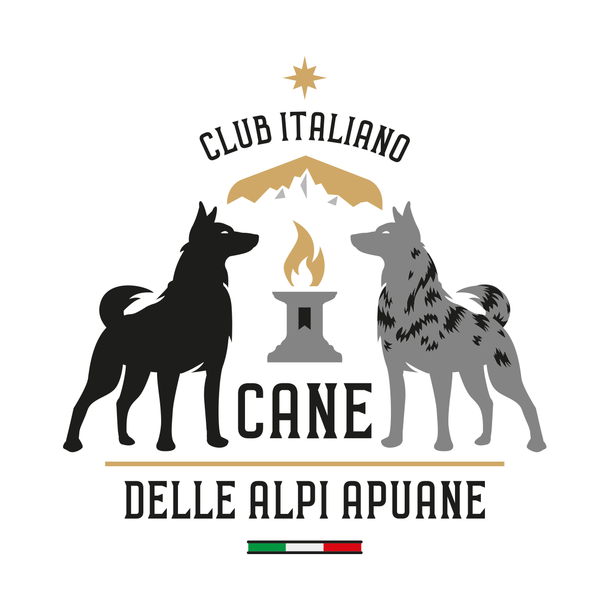 Cane delle Alpi Apuane